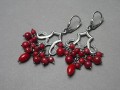 IMGP1043