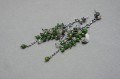 DSC05673.JPG