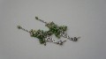 DSC07152.JPG