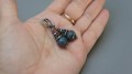 DSC07176.JPG