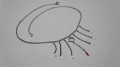 DSC03946.JPG