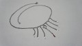 DSC03947.JPG