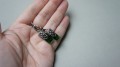 DSC04745.JPG