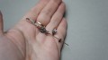 DSC08029.JPG