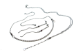 DSC02919.png