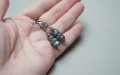 DSC08833.JPG